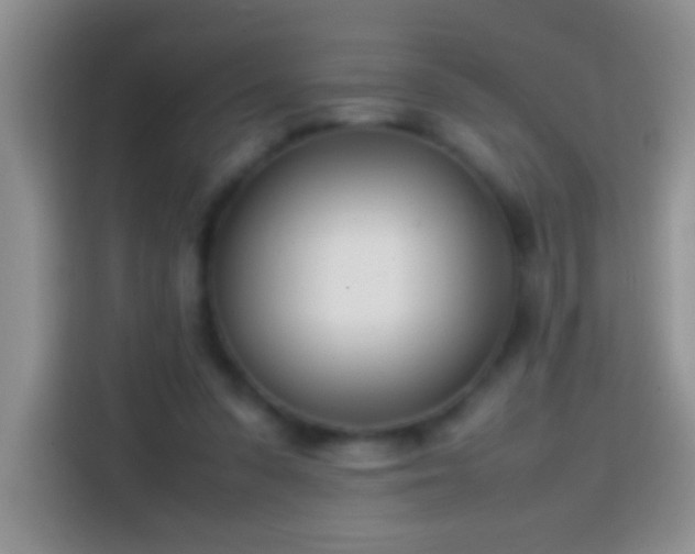 X0000113870303200910011118