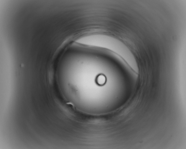 X0000113870304200910011118