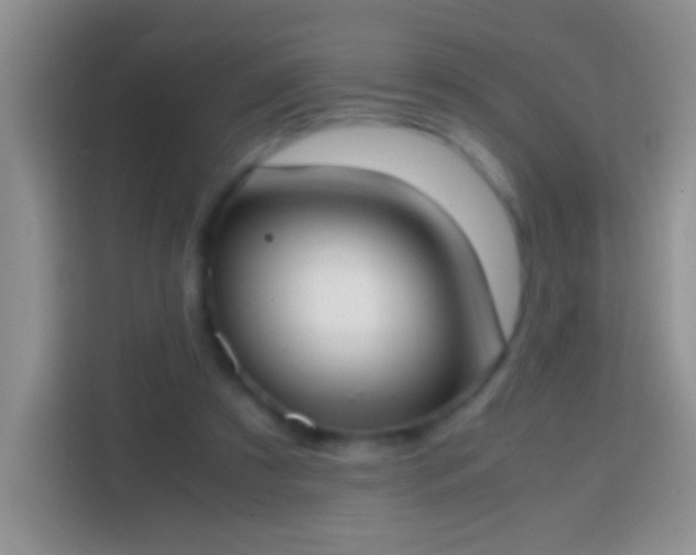 X0000113870305200910011117