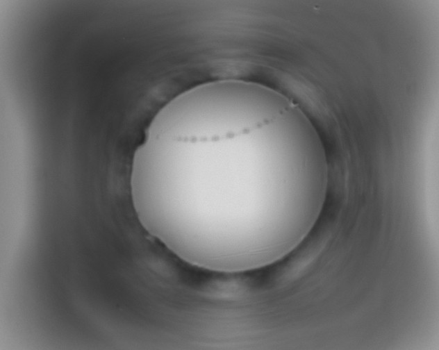 X0000113870307200910011117