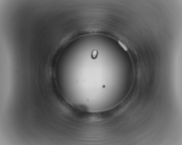 X0000113870308200910011117