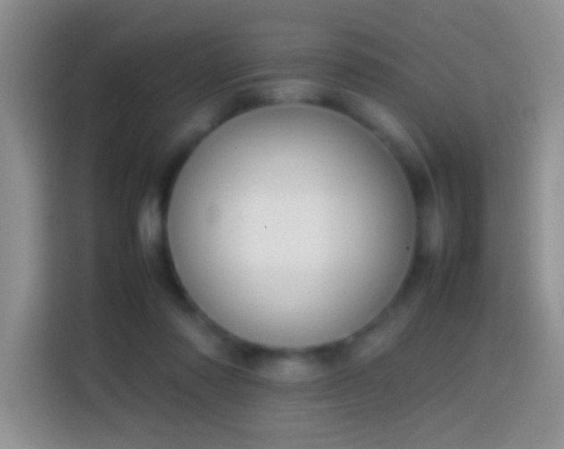 X0000113870310200910011117