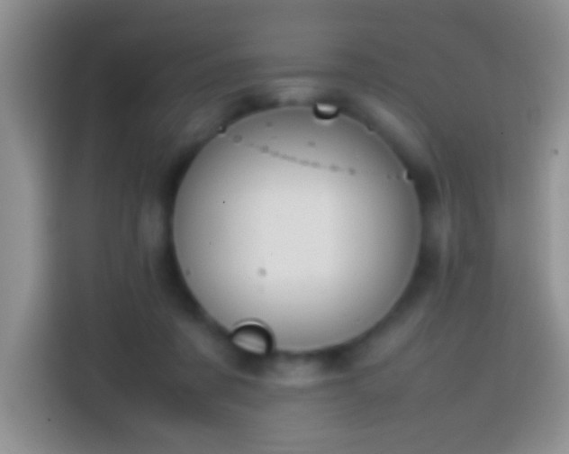 X0000113870311200910011117