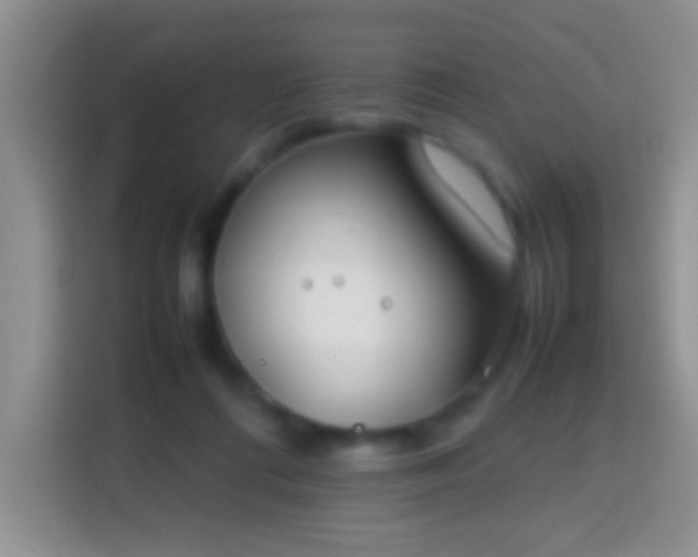 X0000113870312200910011117