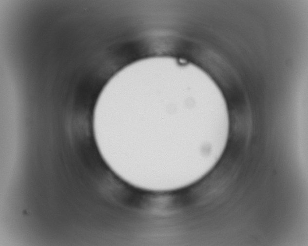 X0000113870313200910011117