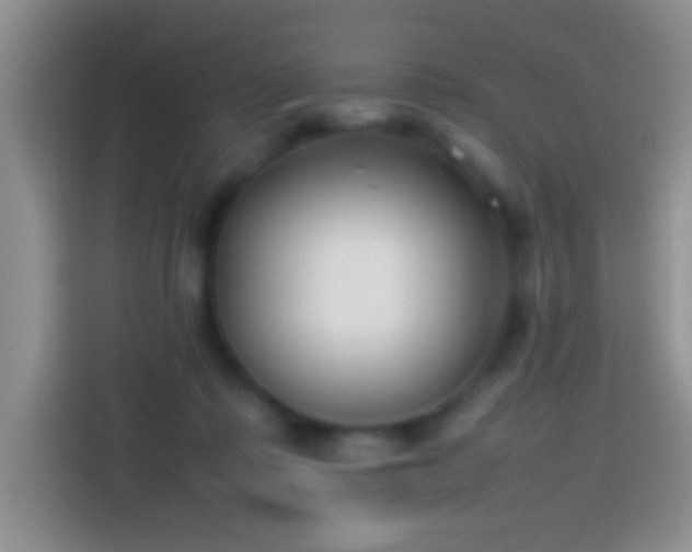 X0000113870315200910011117