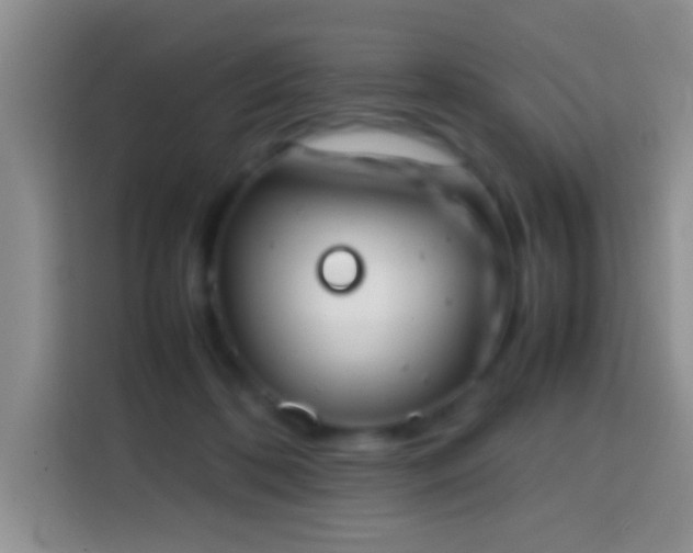 X0000113870316200910011117