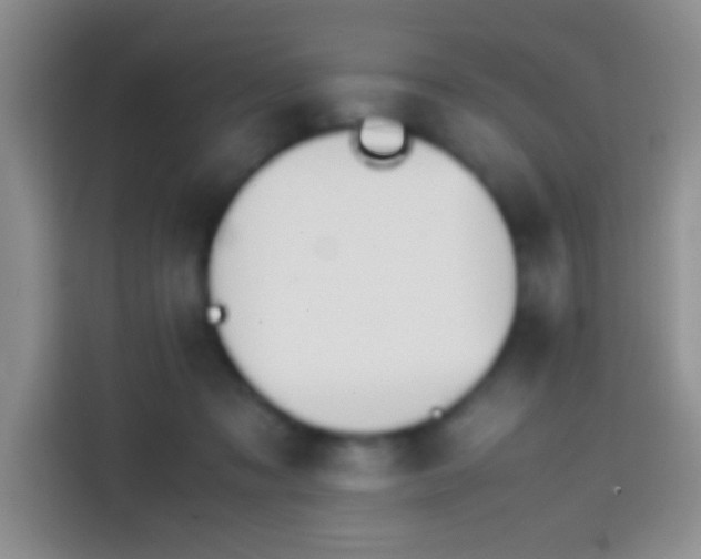 X0000113870317200910011117