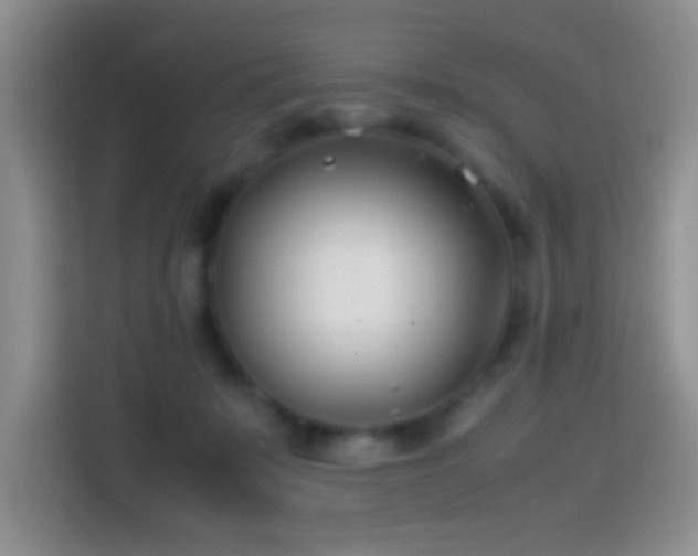 X0000113870319200910011117