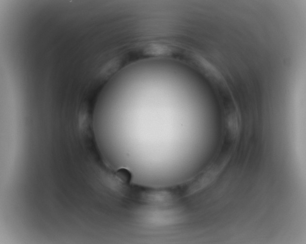 X0000113870322200910011117