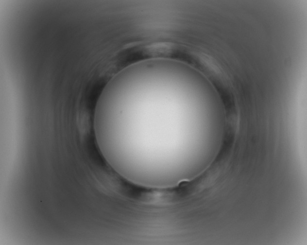 X0000113870323200910011117