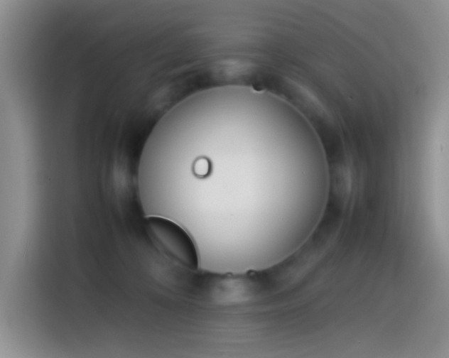 X0000113870324200910011117