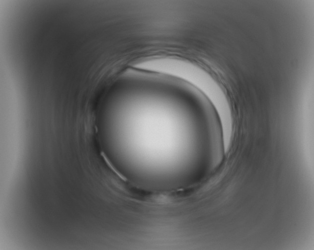 X0000113870325200910011117