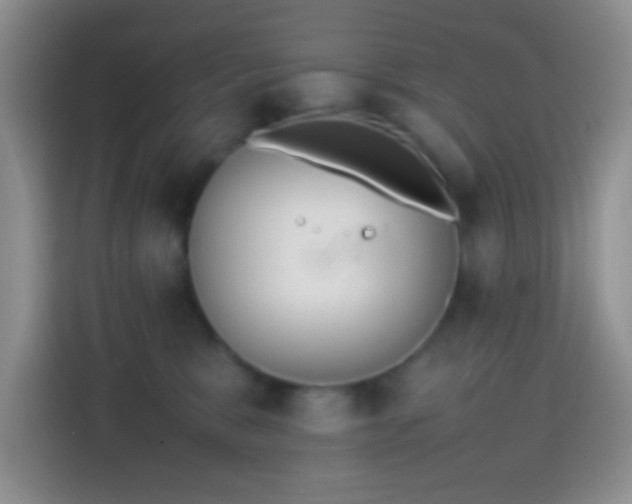 X0000113870327200910011117