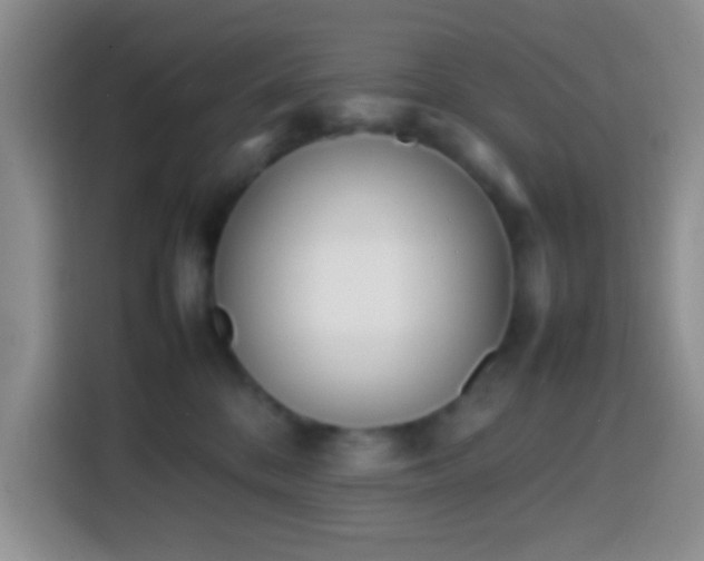 X0000113870328200910011117