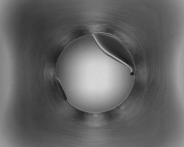 X0000113870329200910011117