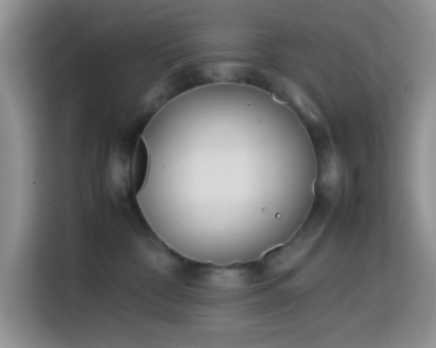 X0000113870332200910011117