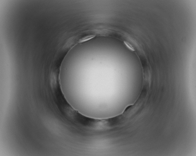 X0000113870333200910011117