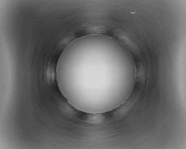 X0000113870334200910011117