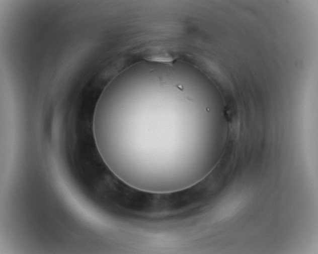 X0000113870335200910011117