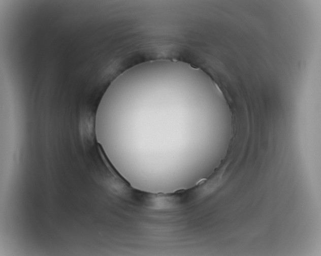 X0000113870336200910011117