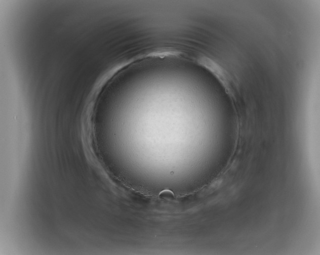 X0000113870337200910011116