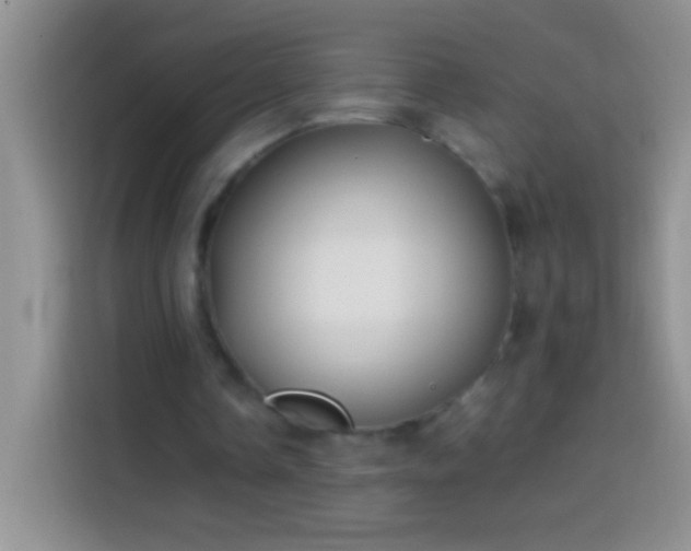 X0000113870338200910011116