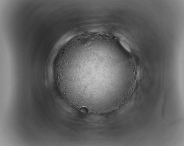 X0000113870339200910011117