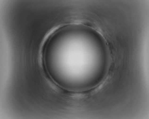 X0000113870342200910011117