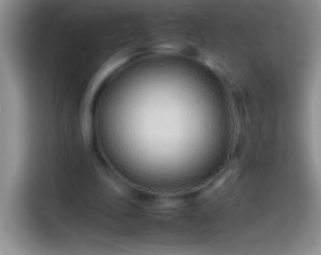 X0000113870343200910011117