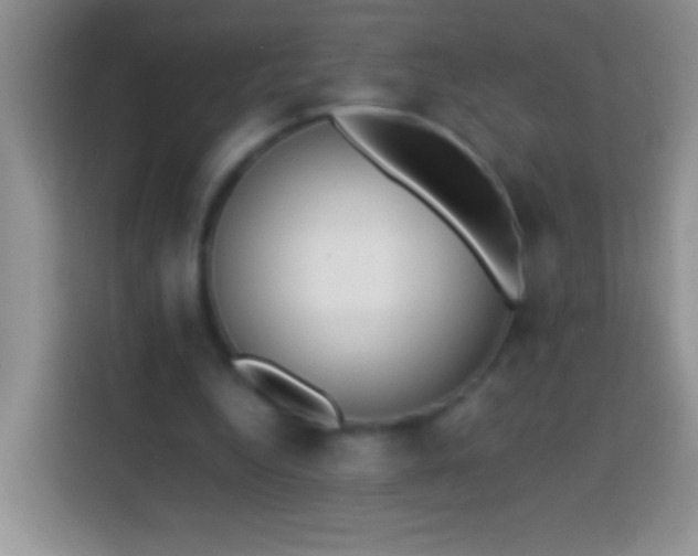 X0000113870344200910011117