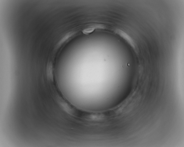 X0000113870345200910011117