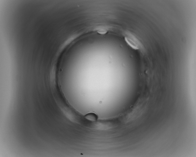 X0000113870346200910011117