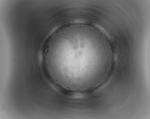 X0000113870347200910011117