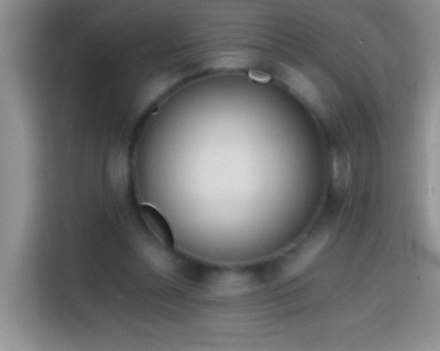 X0000113870348200910011117