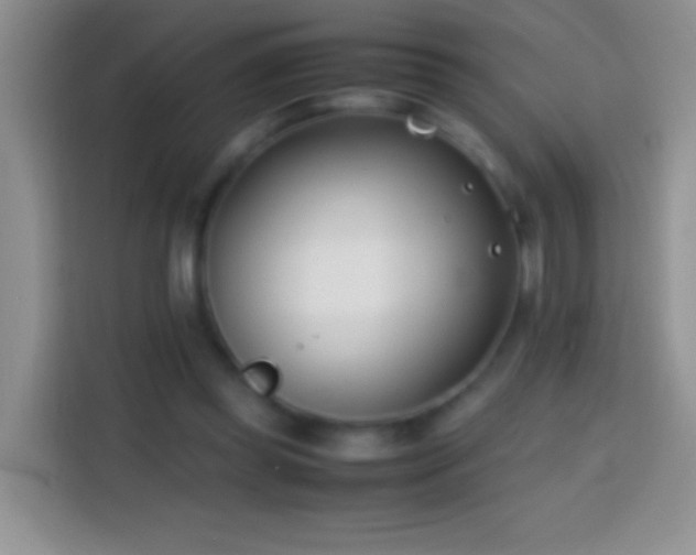 X0000113870349200910011117