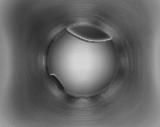 X0000113870350200910011117