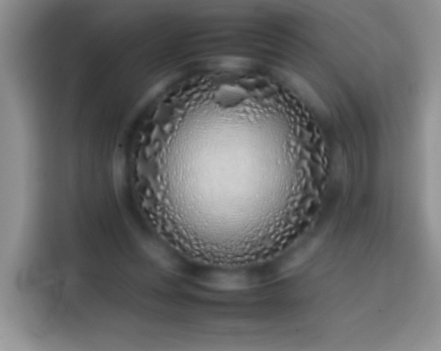 X0000113870351200910011117