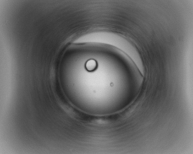 X0000113870352200910011117