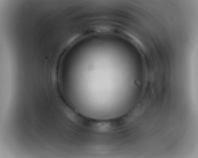 X0000113870353200910011117