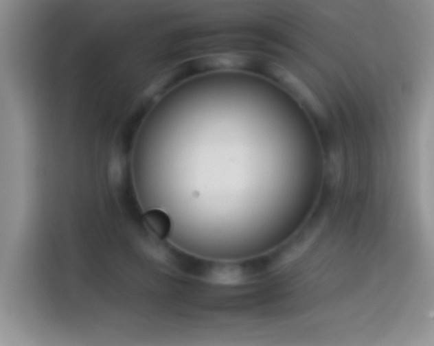 X0000113870355200910011117