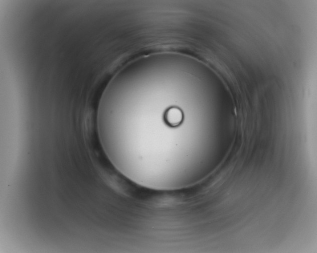 X0000113870356200910011117