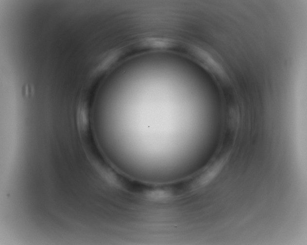 X0000113870358200910011117