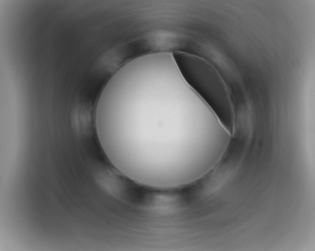 X0000113870360200910011117