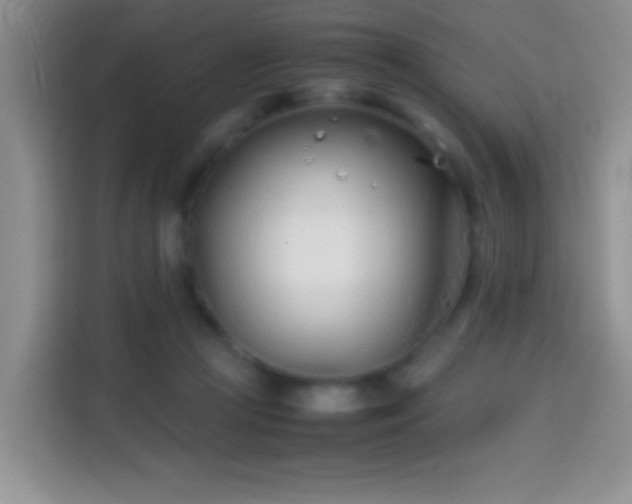 X0000113870361200910011117