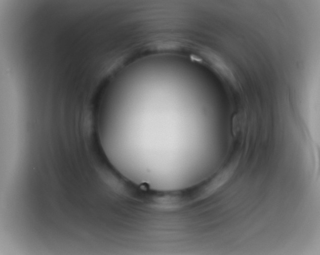 X0000113870362200910011117