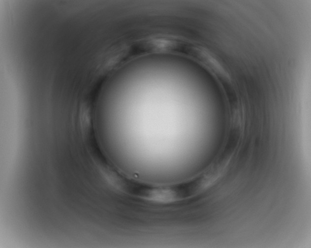 X0000113870363200910011117