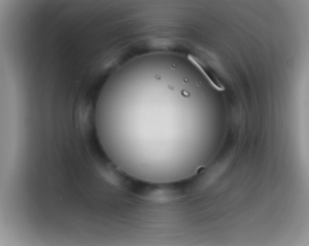 X0000113870364200910011117