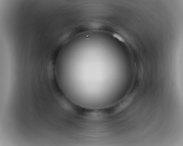 X0000113870366200910011117