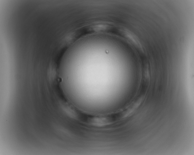 X0000113870367200910011117